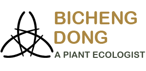 Bicheng Dong